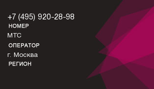 4959202898